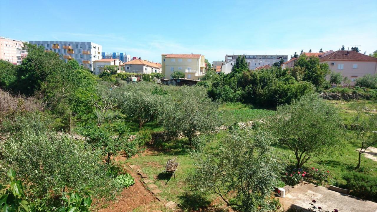 F-Holiday Apartment Zadar Bagian luar foto